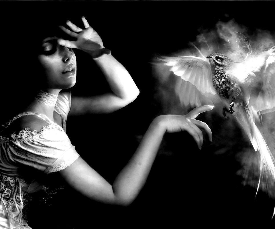 Феникс обои