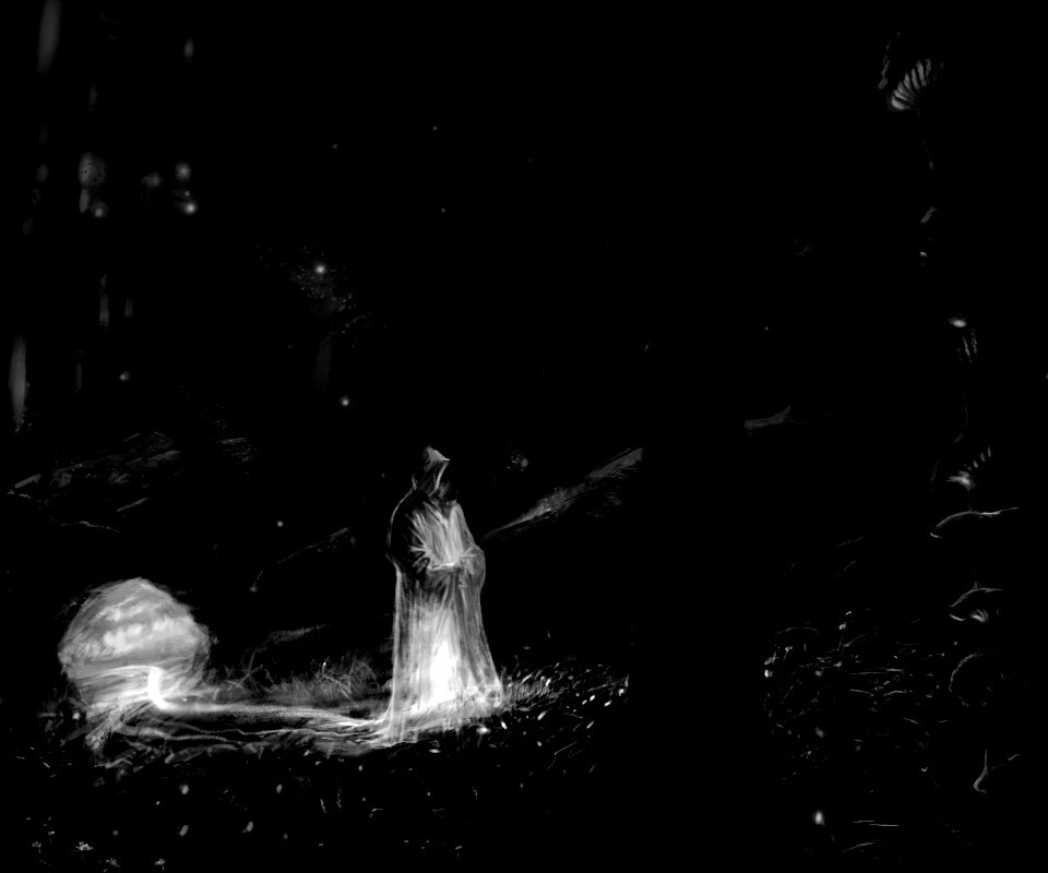 Маг света в лесу обои