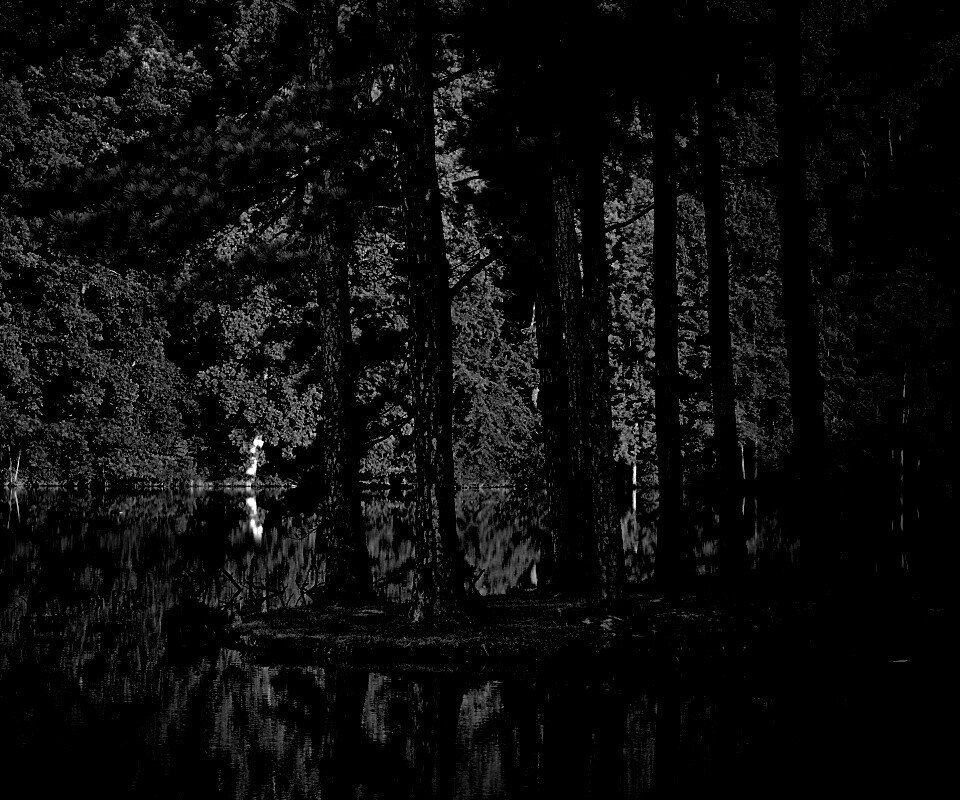 Островок посреди озера обои