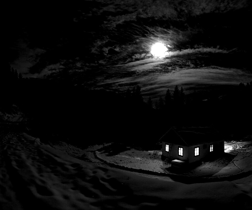 Один в зимнем лесу обои