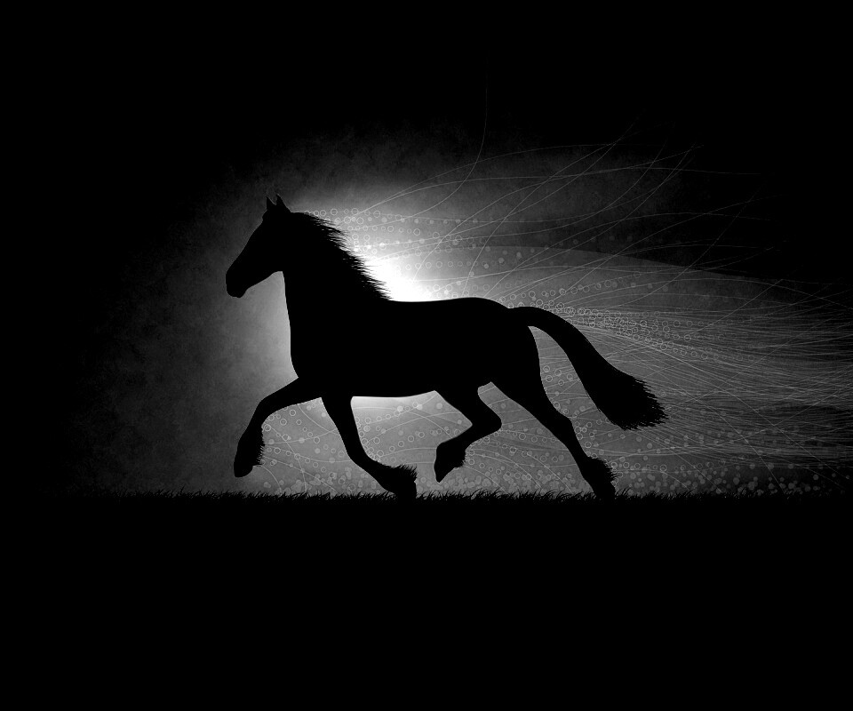 Силует коня на закате обои