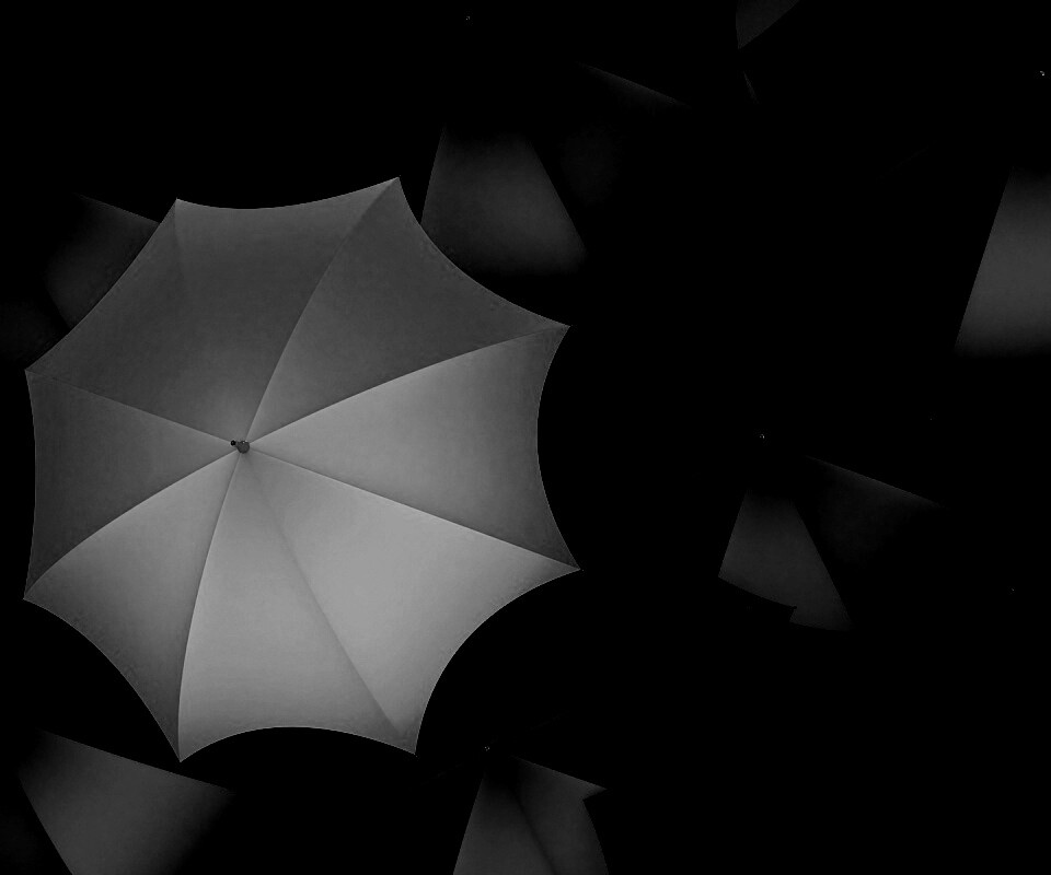 Жёлтый среди чёрных обои