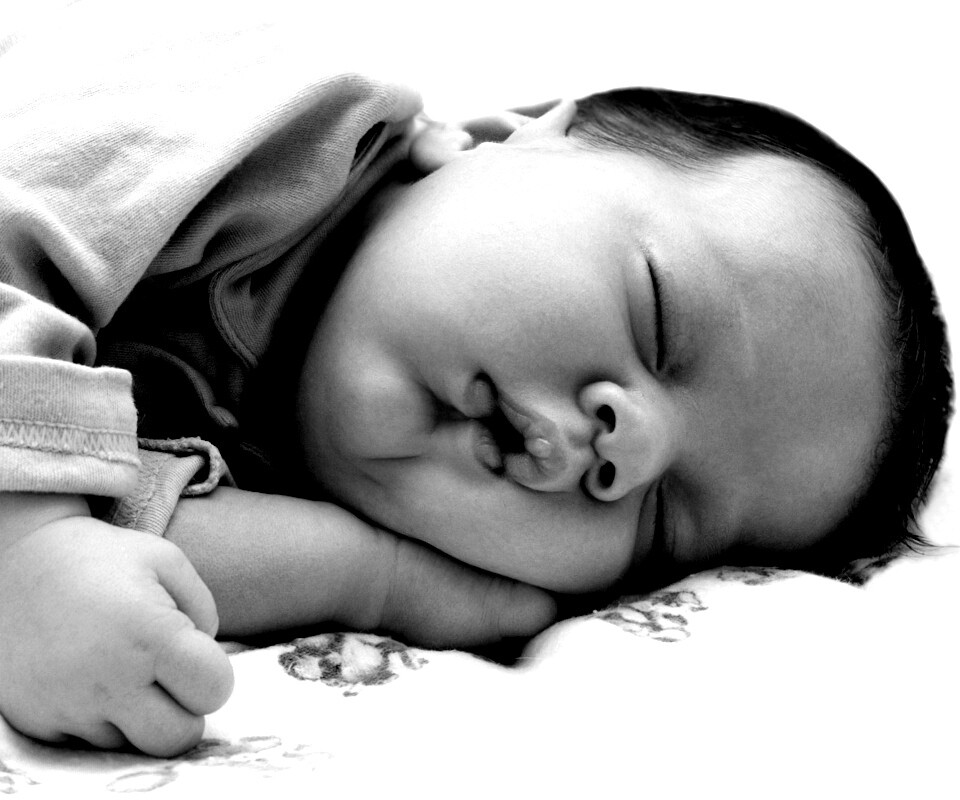 Спящая прелесть обои