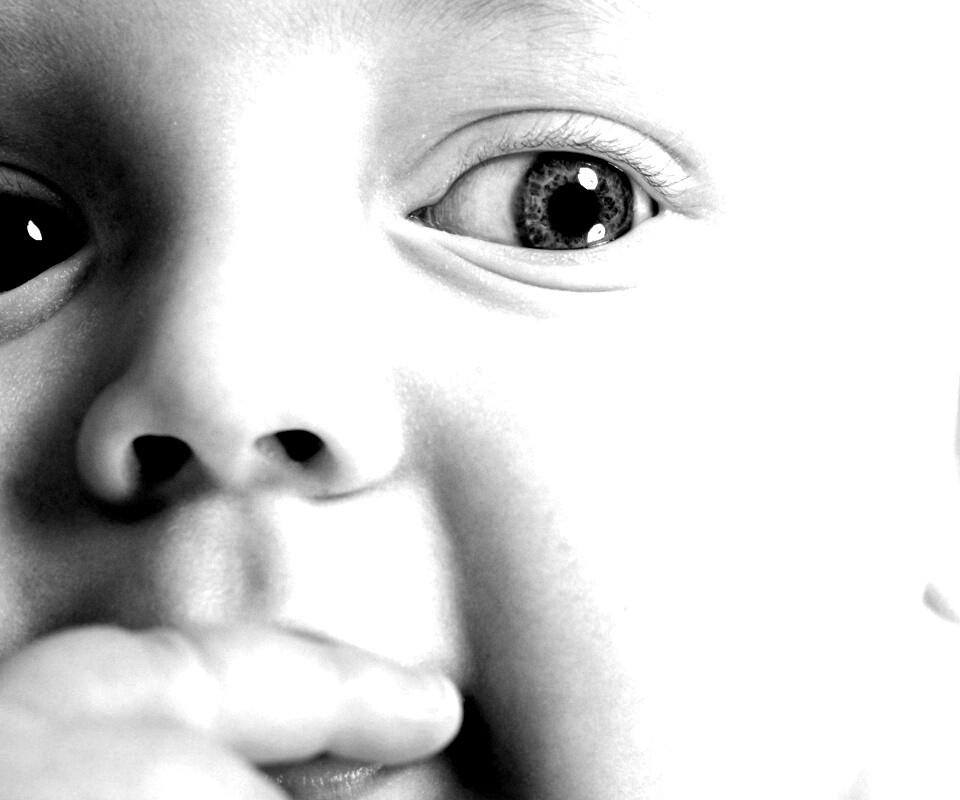 Что-то замышляет... обои