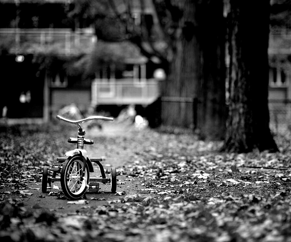 Трёхколёсный друг на осенней дорожке обои