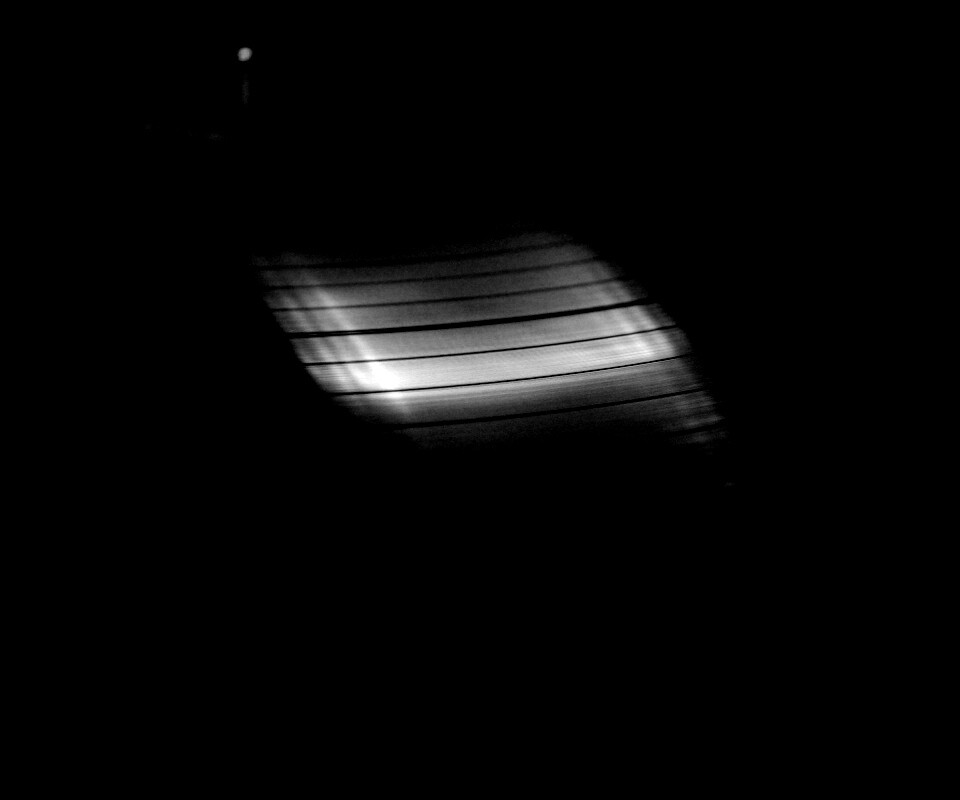 Пластинка обои