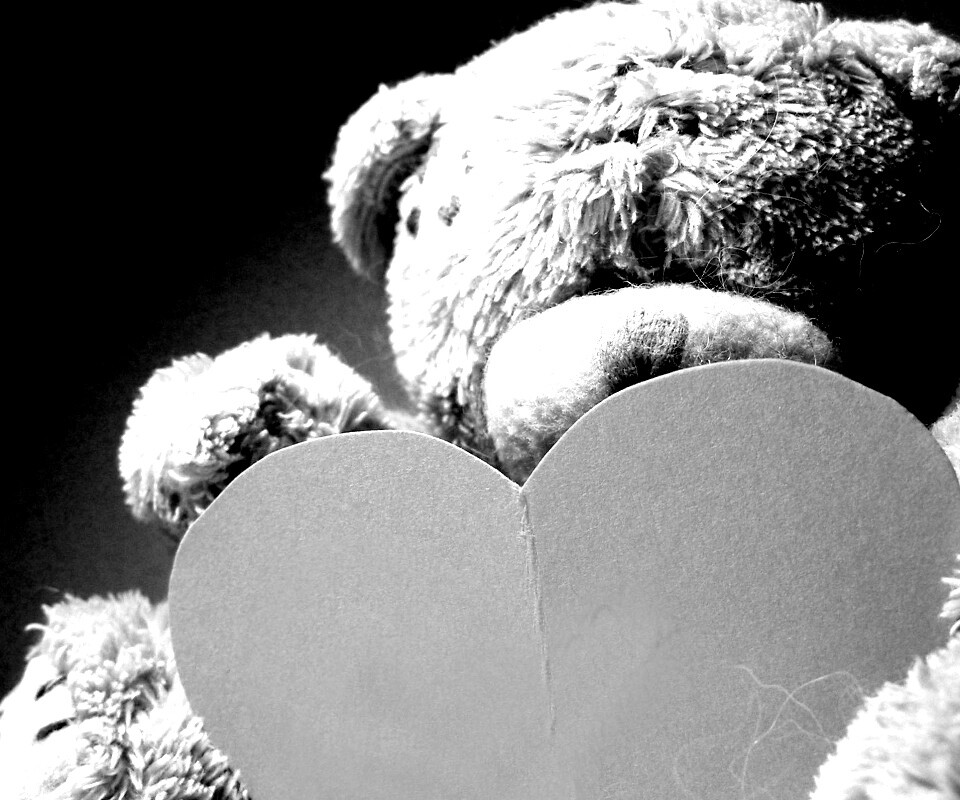 Мишка с сердцечком обои