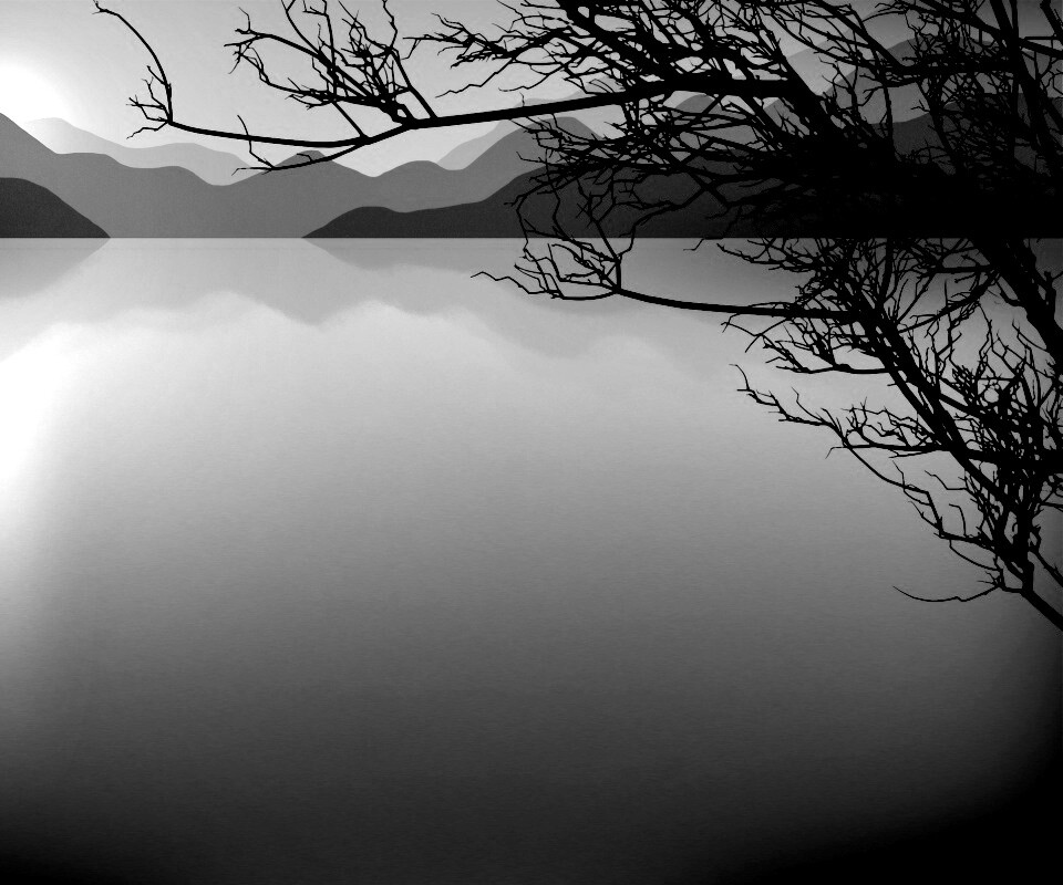 Ветка над вечерним озером обои