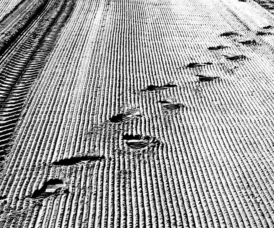 Следы на песке обои