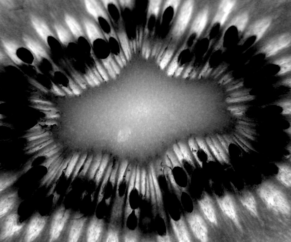 Макро фото киви в разрезе обои