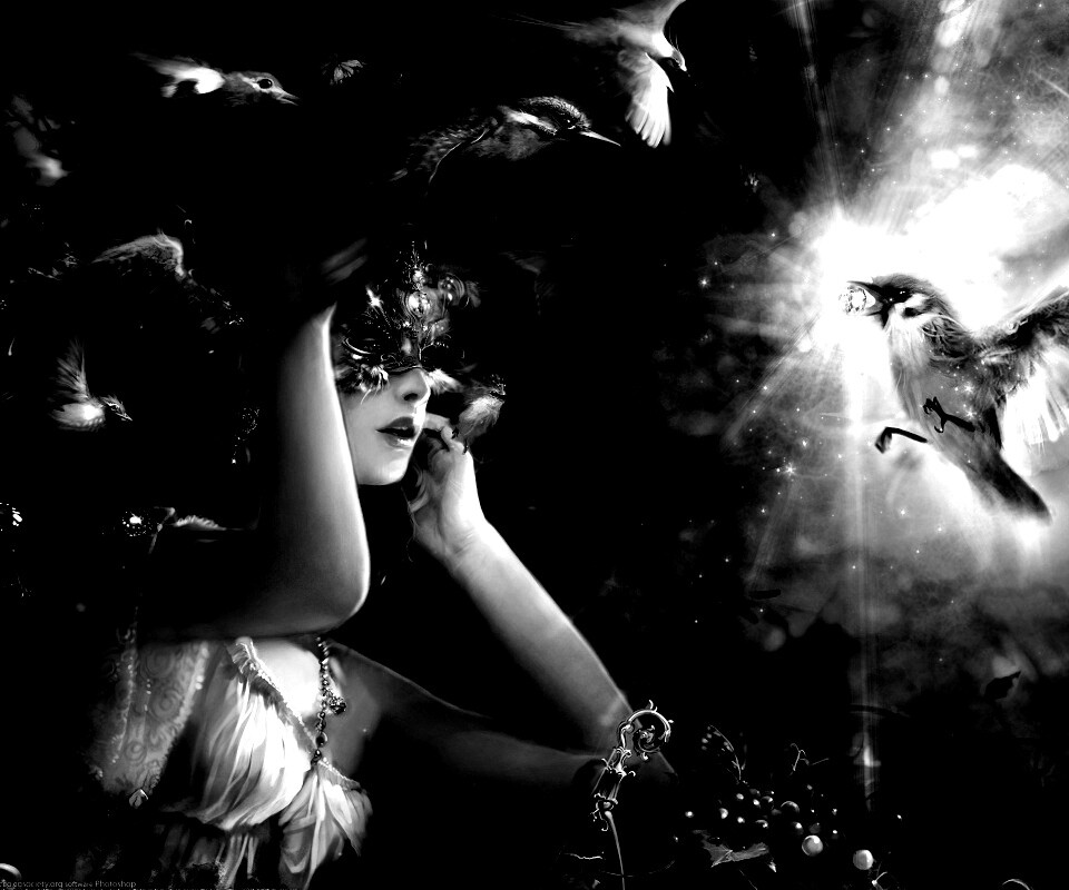 Птицы счастья обои