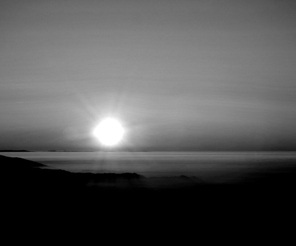 Восход солнца над лесом обои