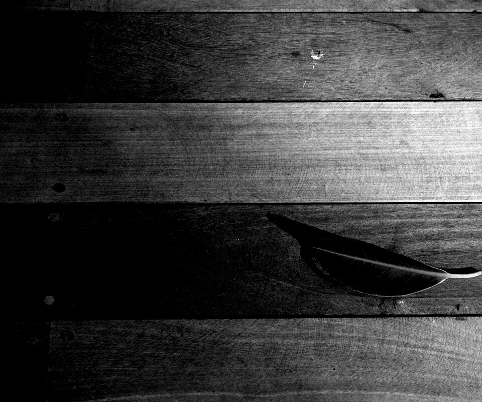 Лист на деревянном полу обои