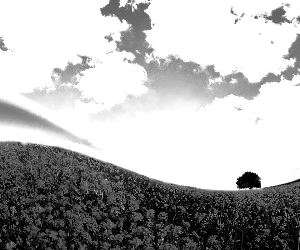 Искаженный мир обои