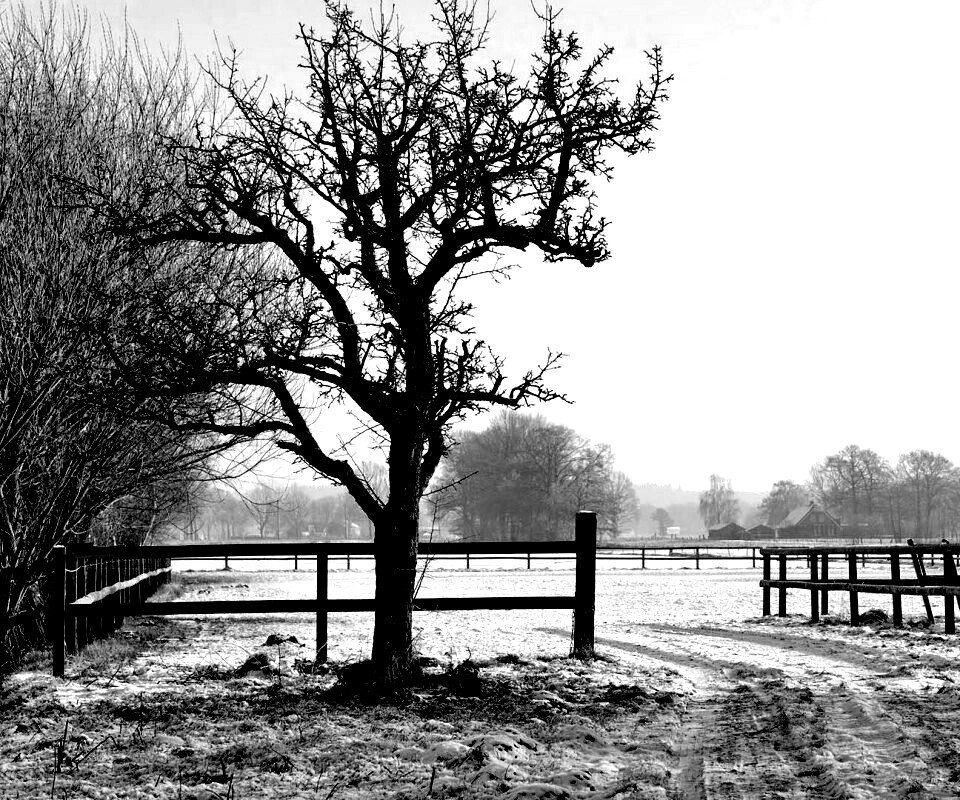 Зимний пейзаж обои