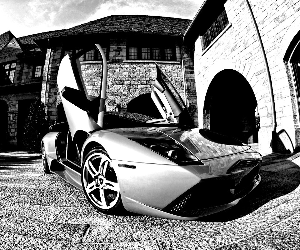 Зеленая ламба обои