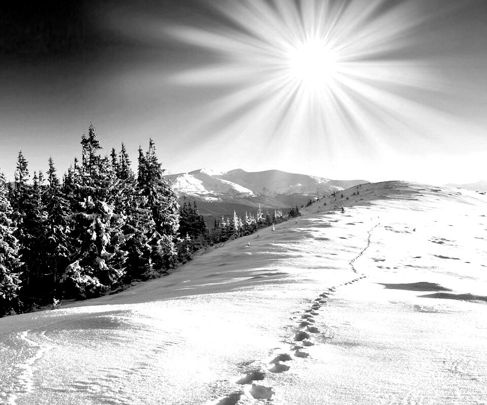 Холодные лучи зимнего солнца обои