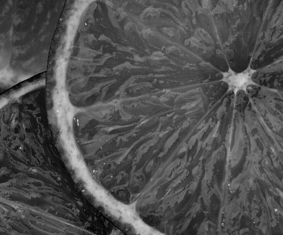 Дольки лайма обои