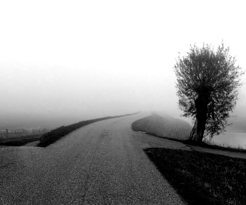 Дорога растворяется в тумане обои