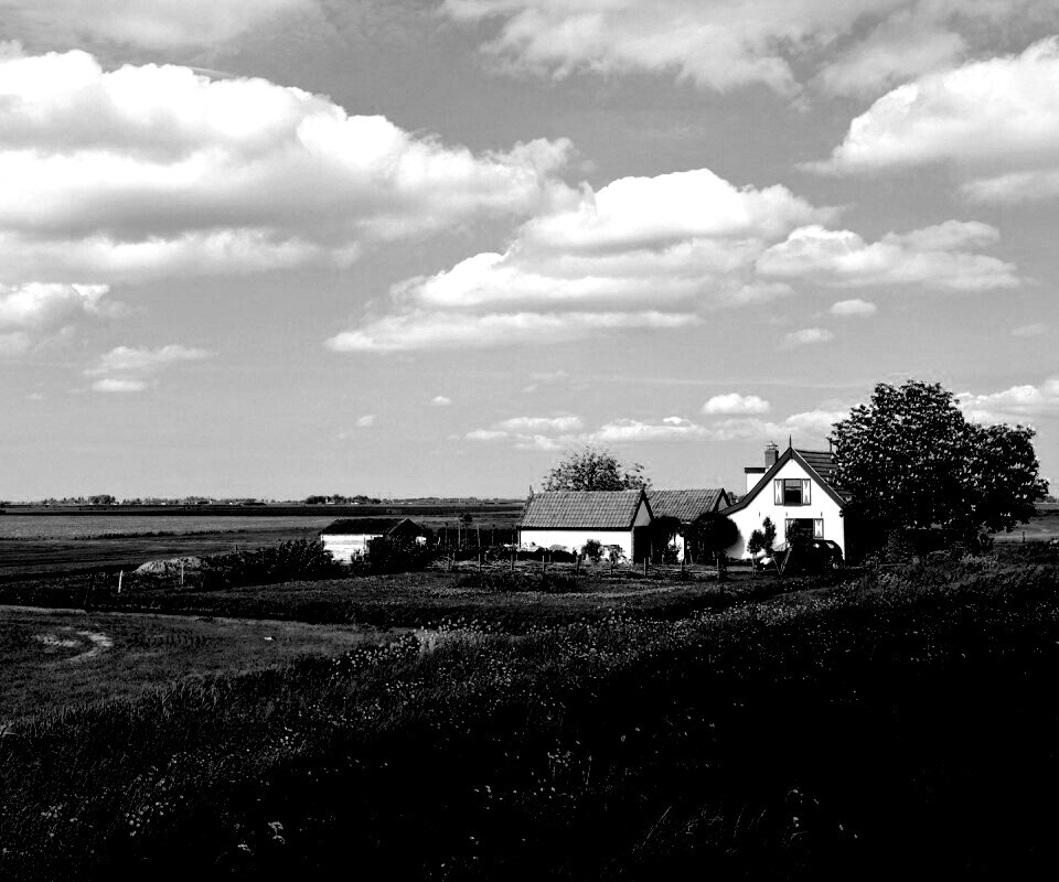 дом на лугу обои