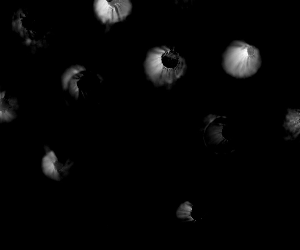 Карандаши обои