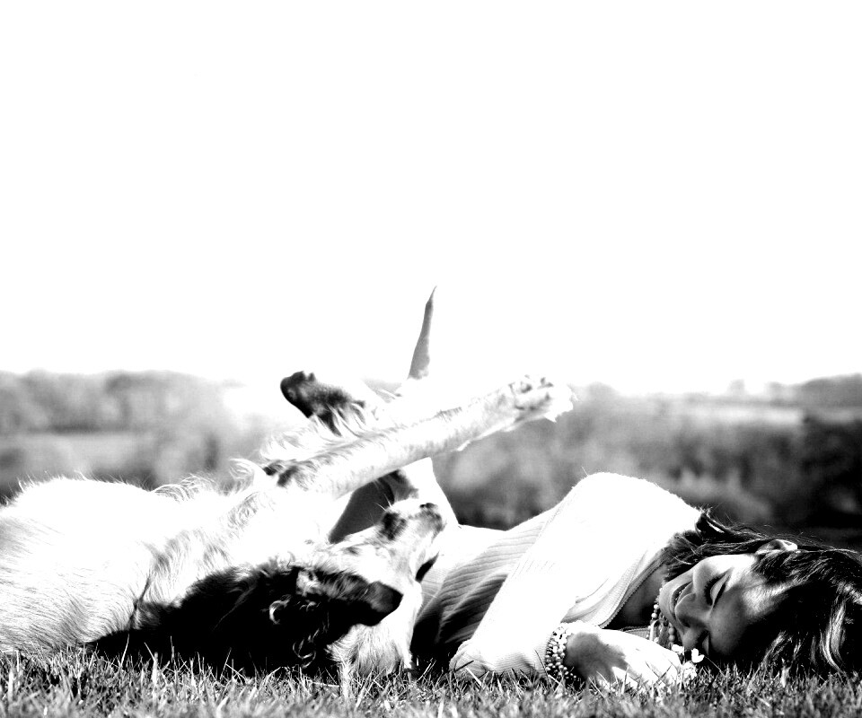 Девушка и собака валяются на траве обои