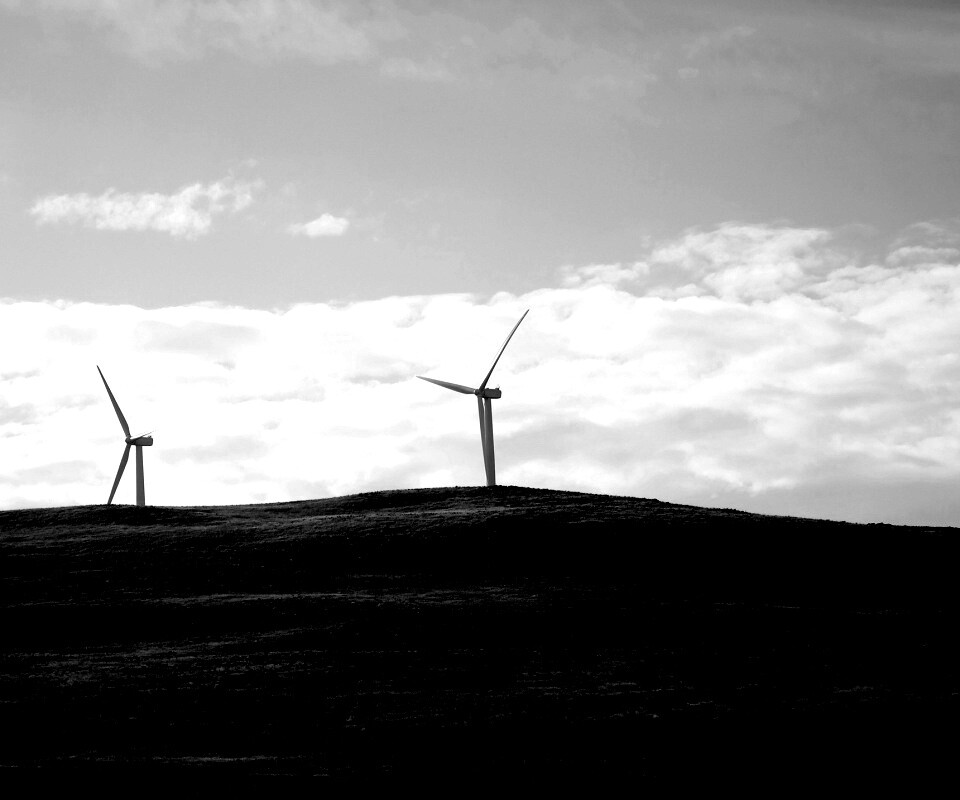 Ветряки в поле обои