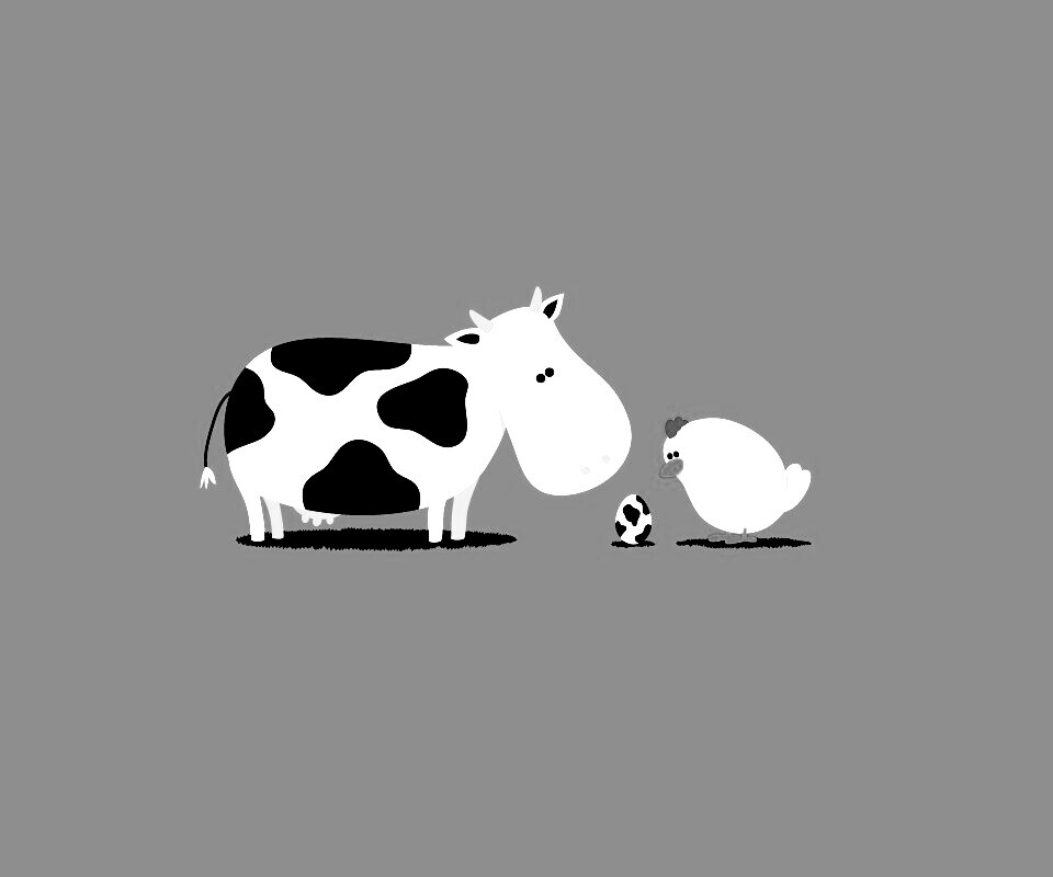 Конфуз обои