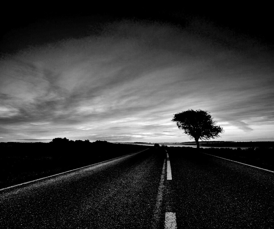 Дорога обои