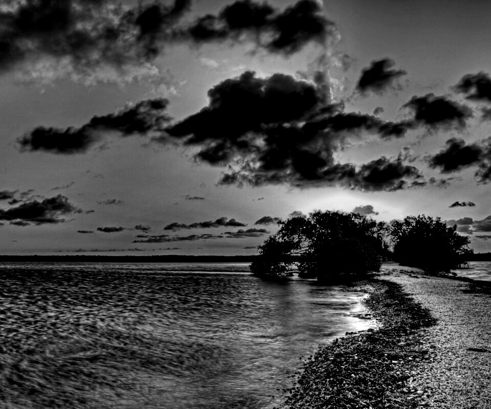 Побережье на закате обои