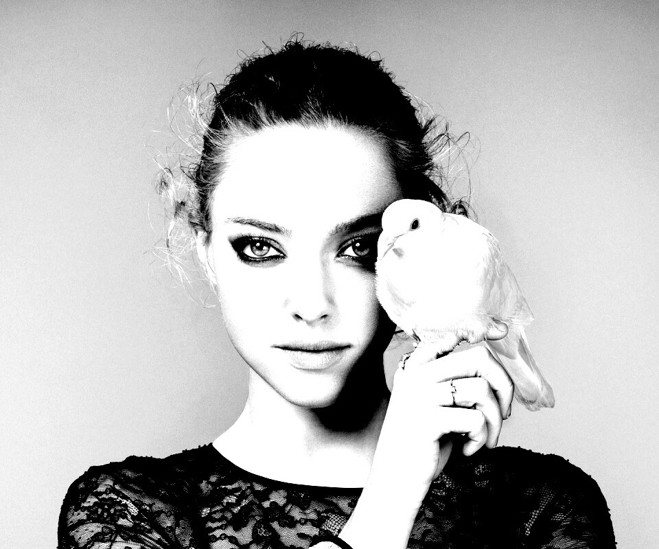 Девушка и попугай обои