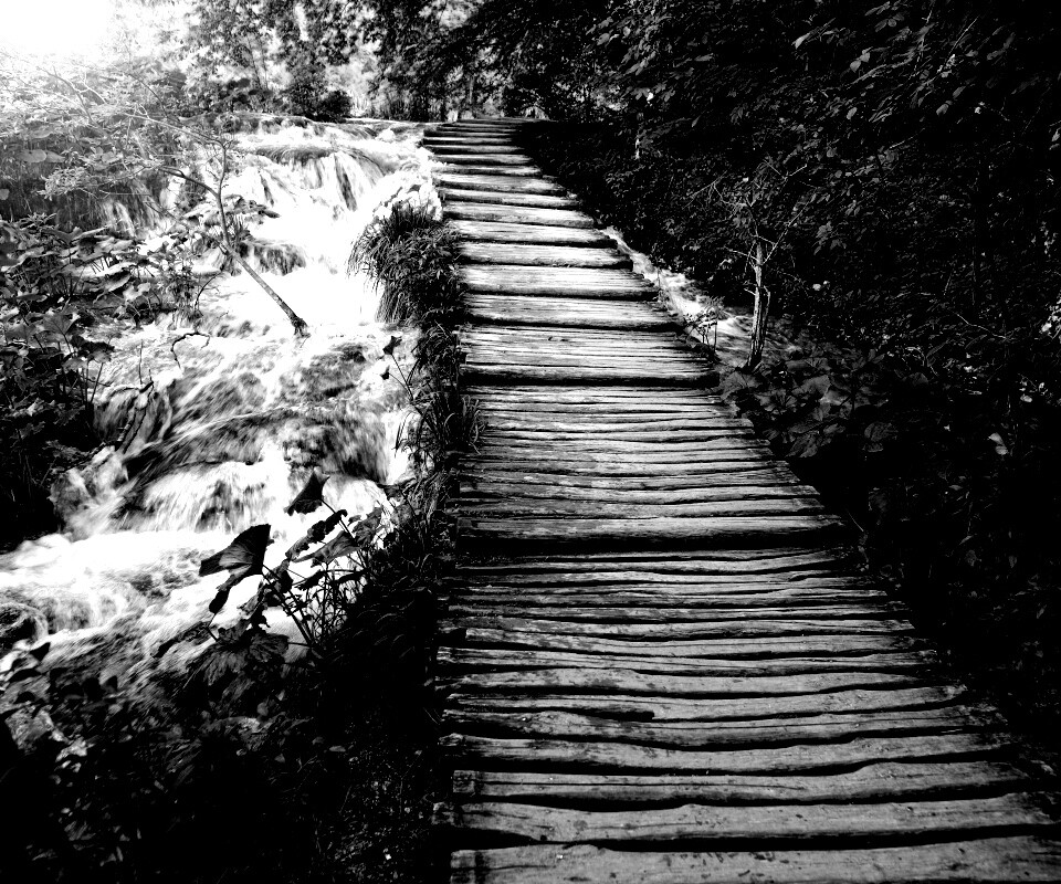 Деревянная дорожка над ручьем обои