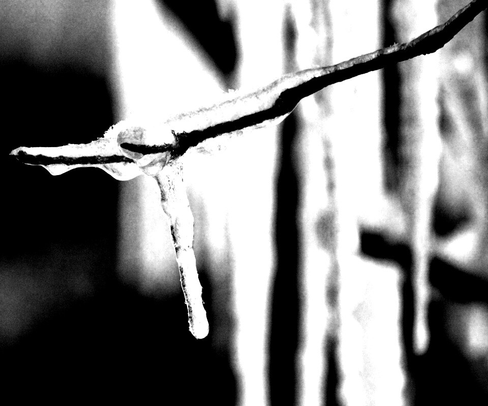 Сосуля обои