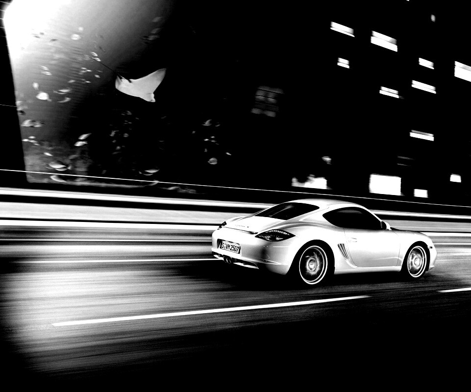 Porsche на трассе обои