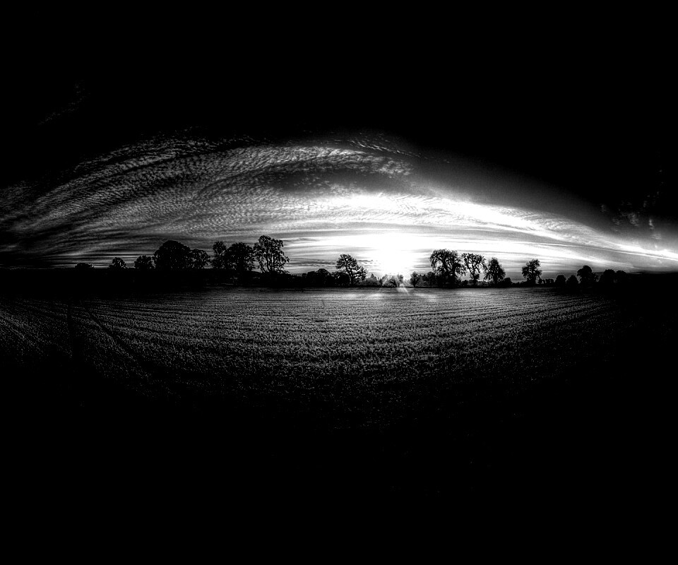 Поле широкоугольным объективом обои