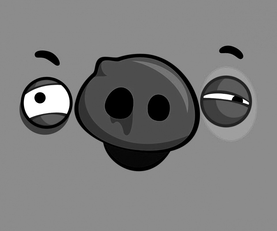 Свинья из Angry Birds обои
