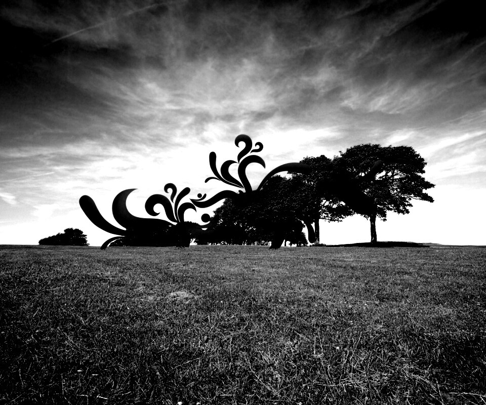 На равнине обои