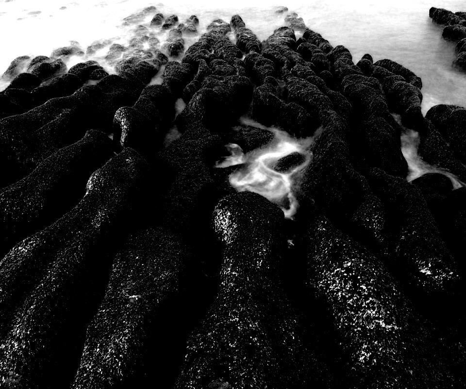 Заросший берег обои