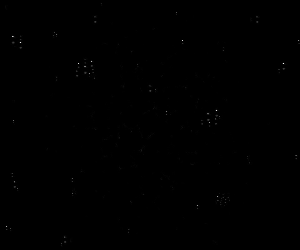 Векторные листья с ягодами обои