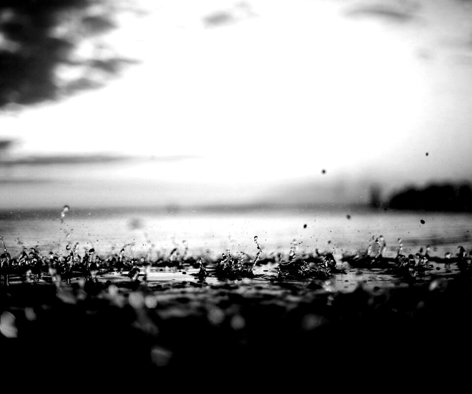 Дождь в макро обои