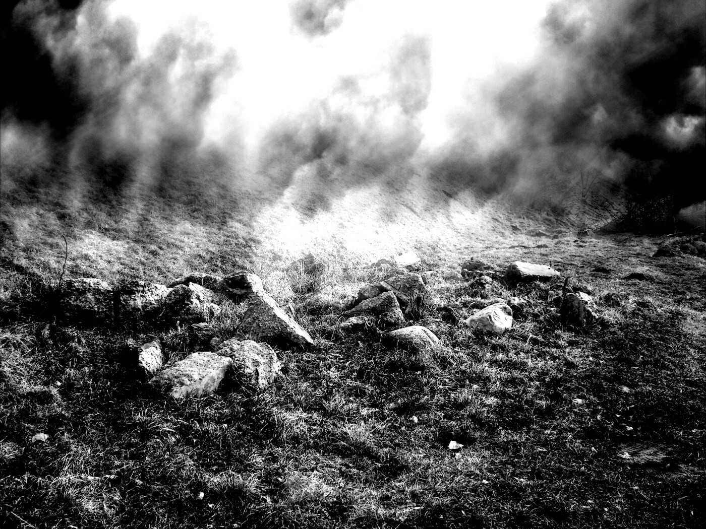 Туман на склоне обои