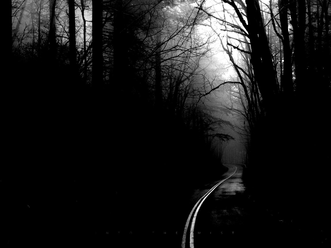 В туман обои