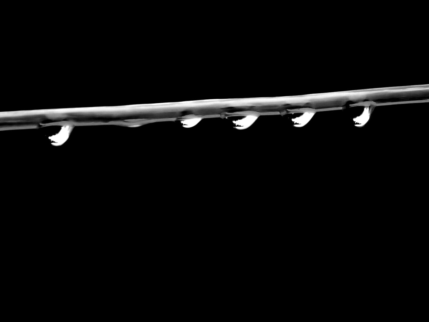 Капли на соломинке обои