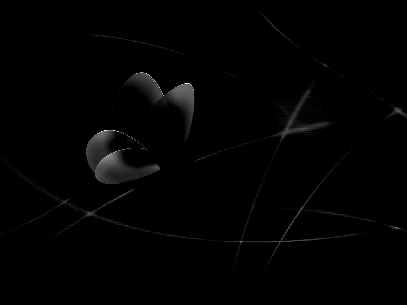 Бабочка с радужными крыльями обои