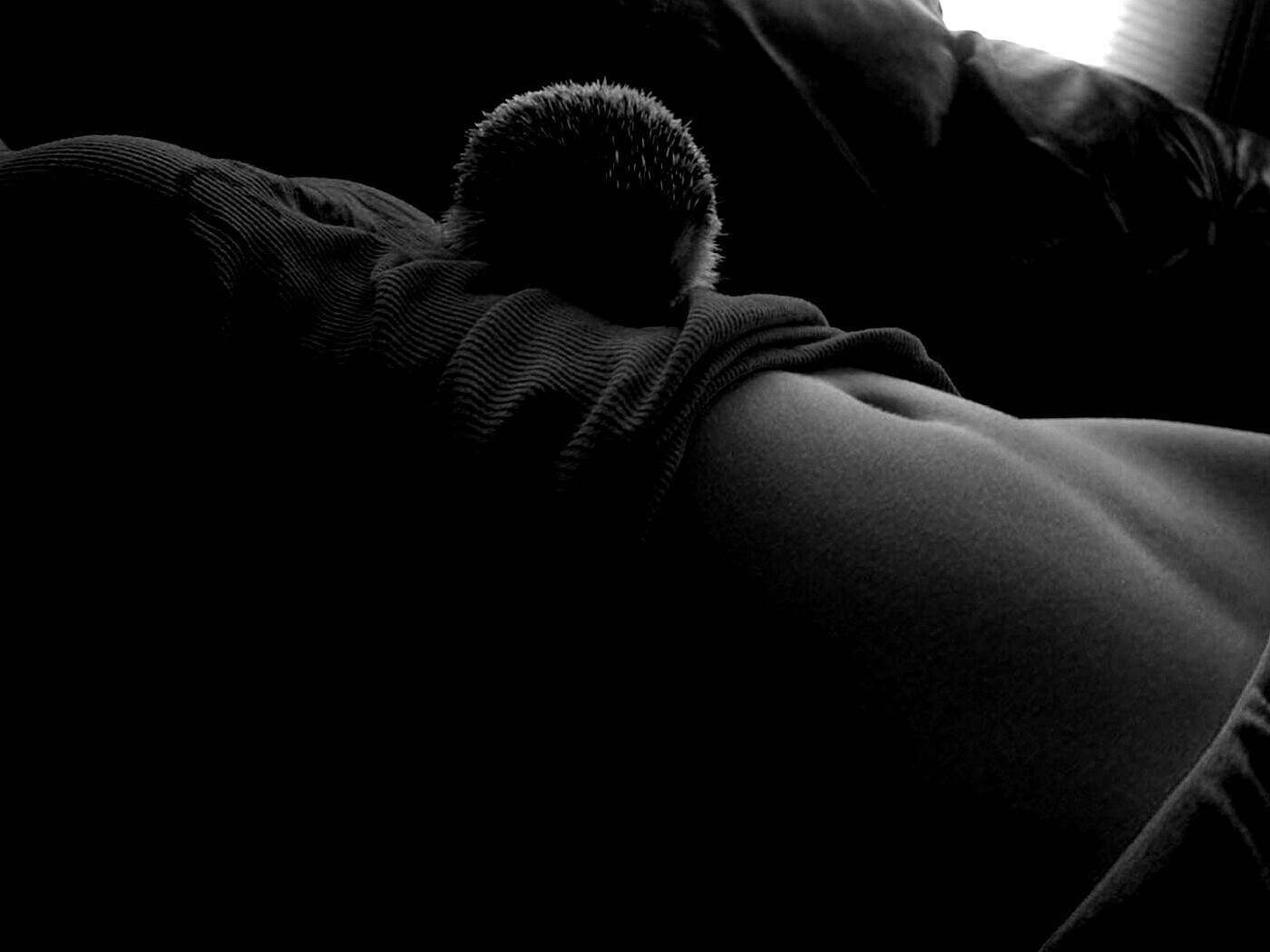 Девушка и ёжик обои