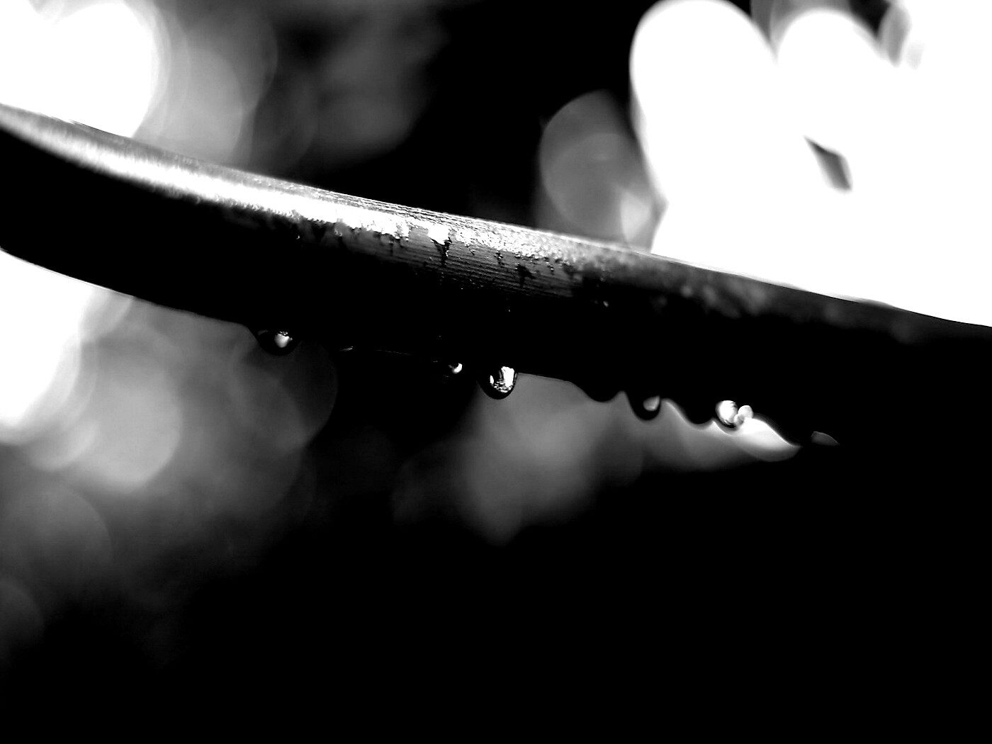 Капли на стебле обои