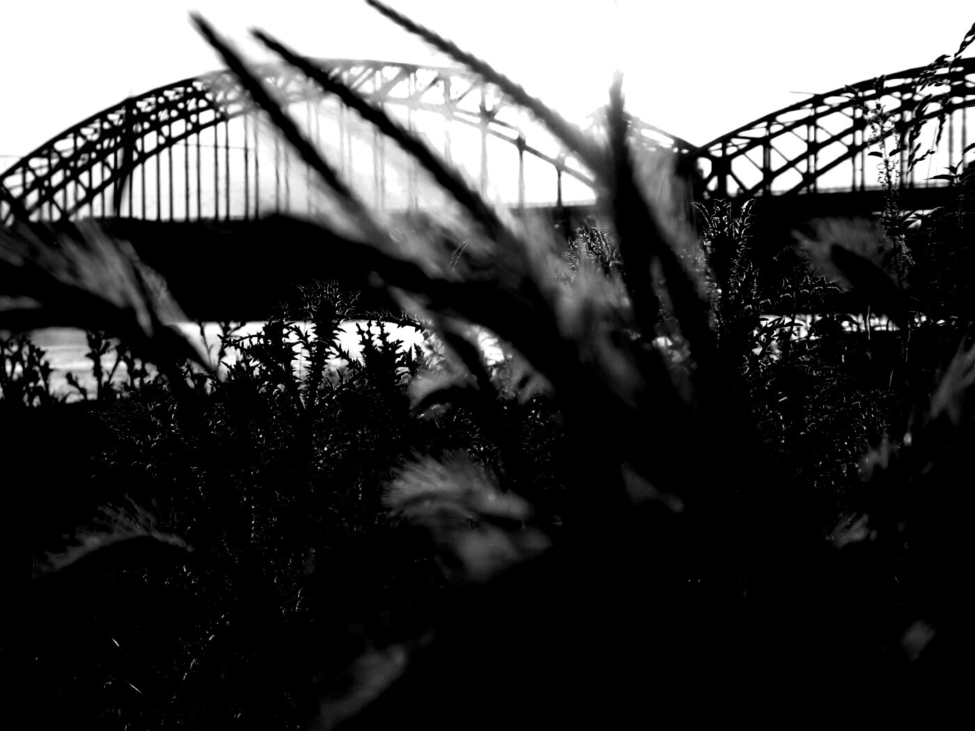 Железнодорожный мост обои