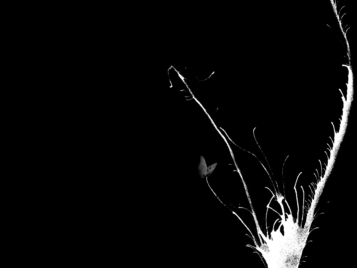 Абстракция из брызг обои