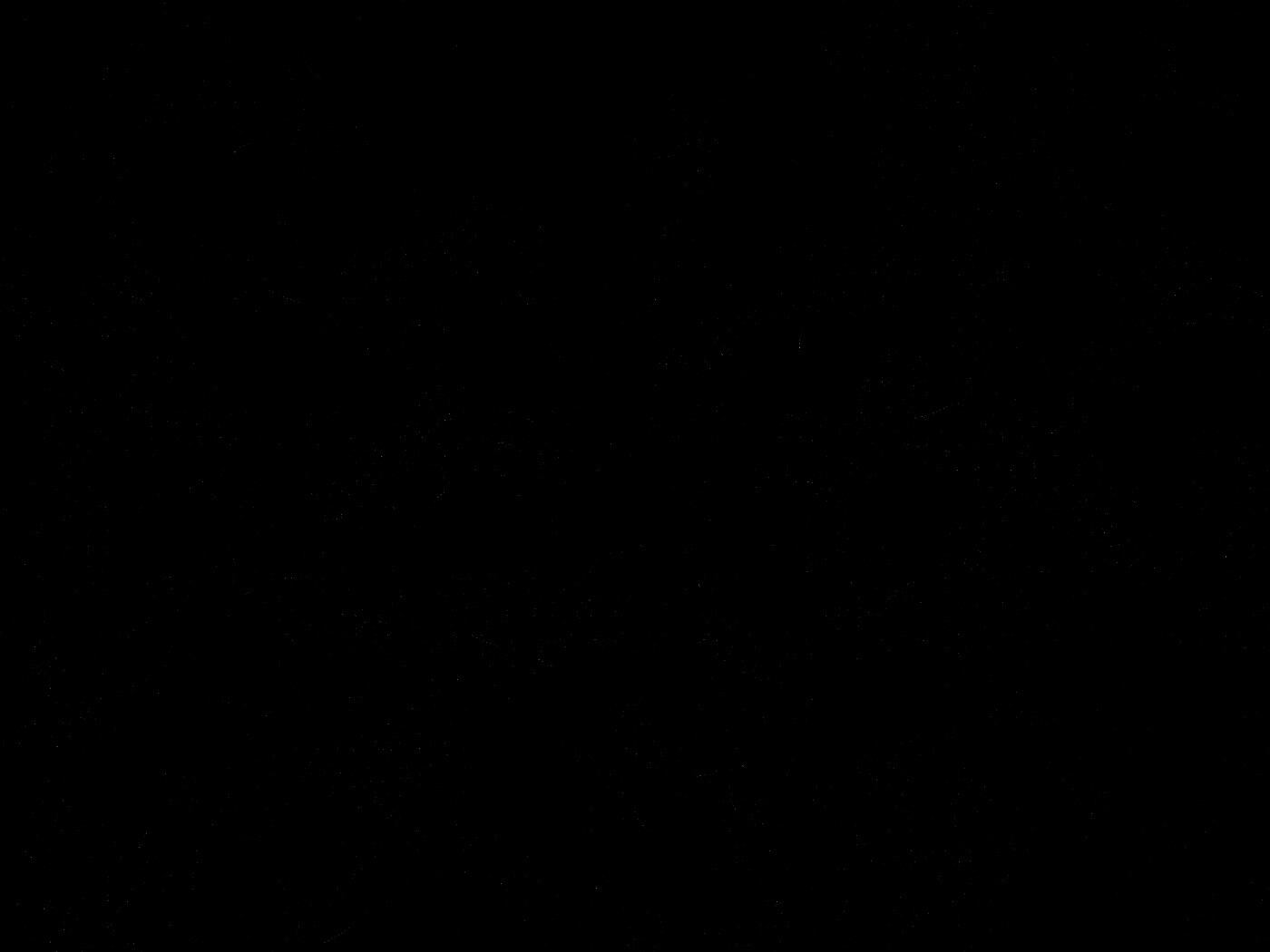 The colour three обои