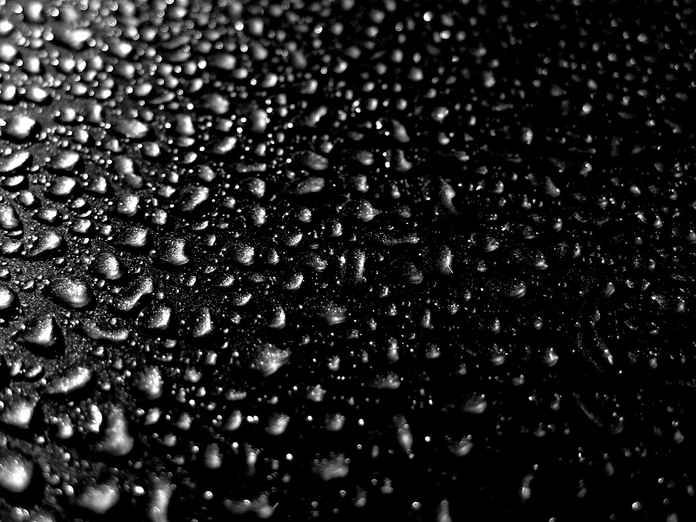 Вода собирается в капли обои